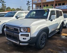 Toyota Prado 2024